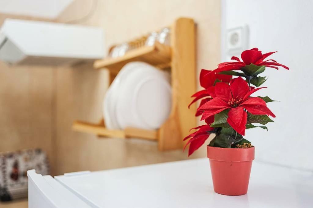 Apartamento Centro Vejer Vejer de la Frontera Bagian luar foto